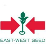 East-West Seed (Cambodia) Company Limited